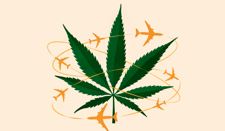 5 consejos para volar en avión con marihuana